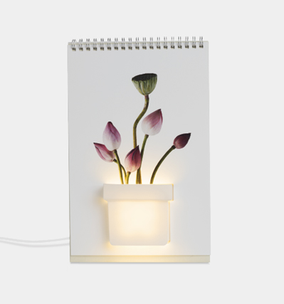 Page by Page Lamp Botanical